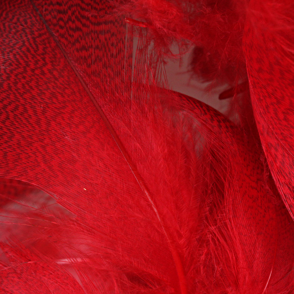 Hareline Plumas del flanco de ánade real