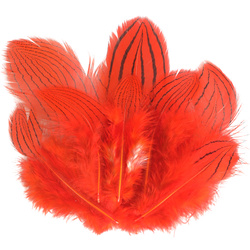 FFGene Plumas de faisán plateado