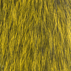 Hareline Pelo de cola de ardilla gris
