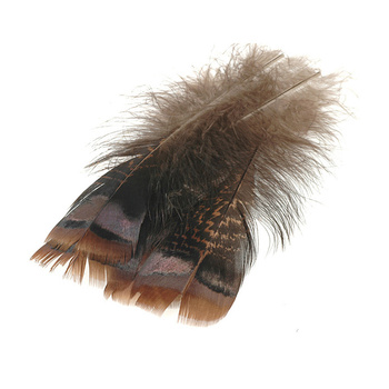 Wapsi Ozark Plumas iridiscentes de cola de pavo