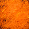 Sulphur Orange