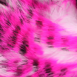 Hareline Tiras de piel de conejo con pelo Tiger Barred
