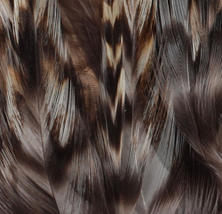 FFGene plumas de cuello de gallo para hackle