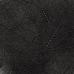 Hareline Plumas de CDC