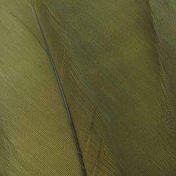 FFGene Plumas escapulares de ganso