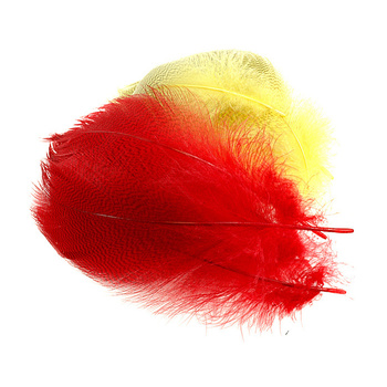 Wapsi Plumas de flanco barradas de ánade real, grandes y seleccionadas