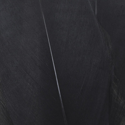 FFGene Hombros de ganso