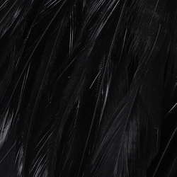 Hareline plumas de hackle de colgadera para Woolly Bugger 6-7