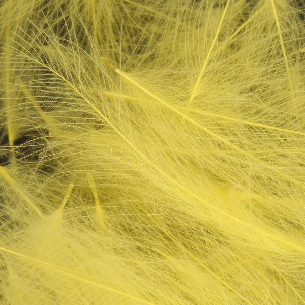 Wapsi Plumas CDC (cul de canard)