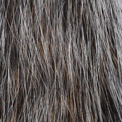 Hareline Pelo de cola de ardilla gris