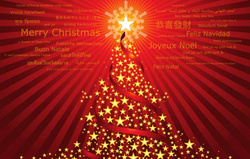 Caña de mosca Sage SLT