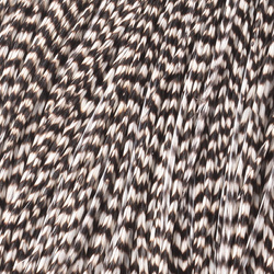 Capa de plumas del cuello de gallo Metz #2