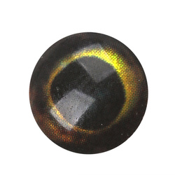 Ojos para moscas H2O Lightweight Rainbow Dumbells