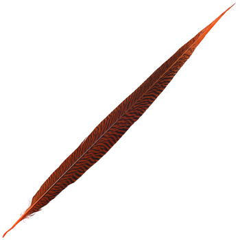 FFGene Plumas de cola de faisán dorado