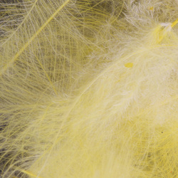 FFGene Paquete Jambo de plumas CDC teñidas - 1 gr