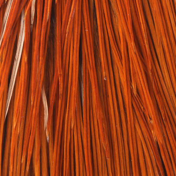 Capa de plumas del cuello de gallo Whiting Bronze