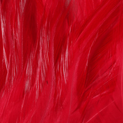 FFGene Strung Saddles Hackle