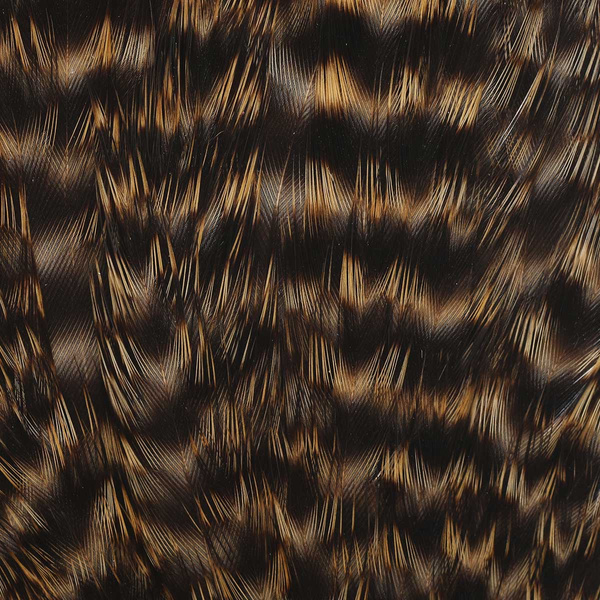 Colgadera de gallina Wapsi Grizzly
