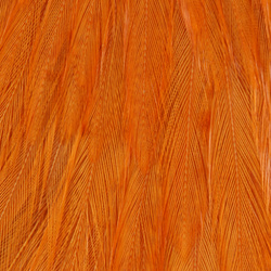 Wapsi Chinese Streamer Rooster Neck #2