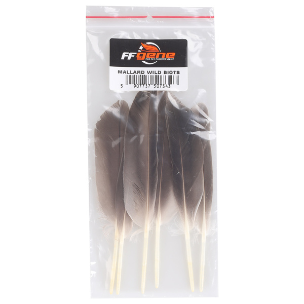 Plumas de ala de ánade real silvestre FFGene