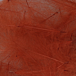 Hareline Plumas de CDC