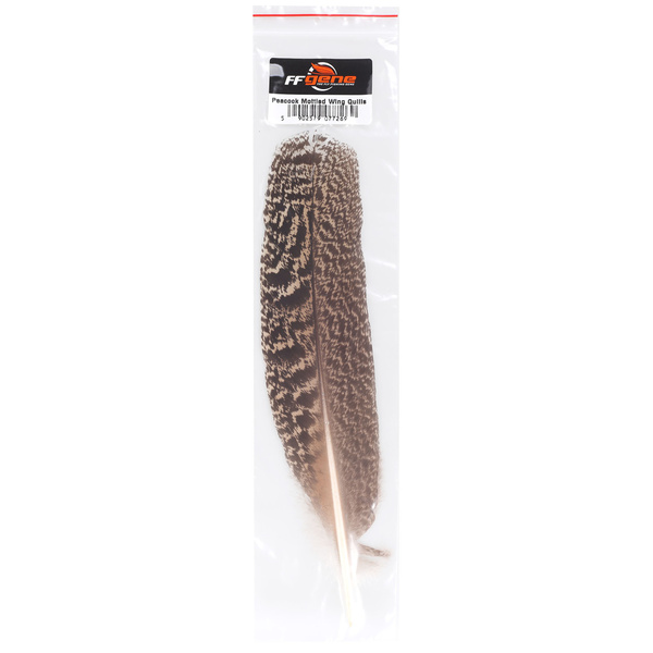FFGene Plumas de ala de pavo real moteadas