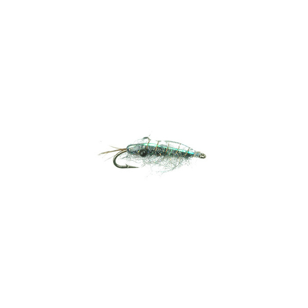 Gambas grises (207)