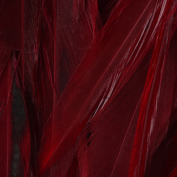 Hareline plumas de hackle de colgadera para Woolly Bugger 6-7