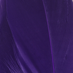 Hareline Select Goose Shoulder