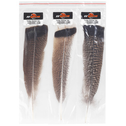FFGene Plumas de cola de pavo moteadas