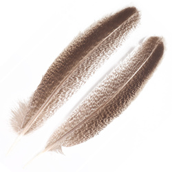 FFGene Plumas de ala de pavo moteadas