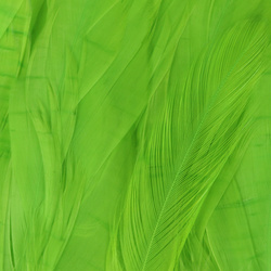 Hareline Plumas schlappen 5-7