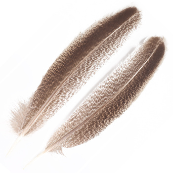 FFGene Plumas de ala de pavo moteadas
