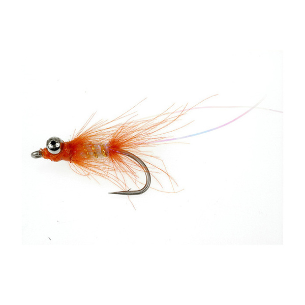 Fraggle polar (415)