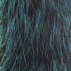 Gray Squirrel Tail Blue