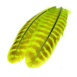 Wapsi Ozark Plumas remeras de pavo