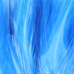 FFGene Plumas de colgadera en ristra