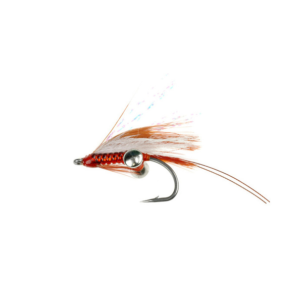 Langostino costero naranja (297)