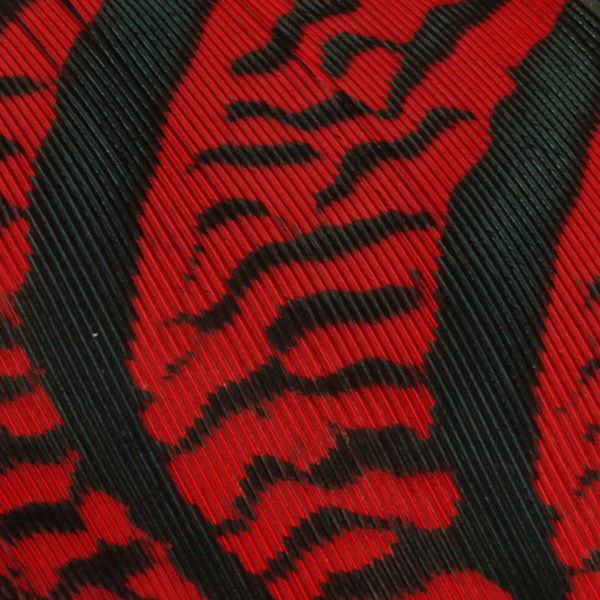 Hareline Plumas centrales de la cola de faisán de Amherst