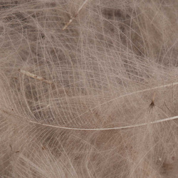 FFGene Plumas CDC Oxyd Jambo Pack - 1 gr