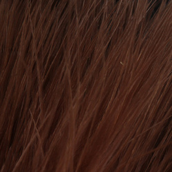 Marabú extragrande Blood Quill FFGene (12-15cm)