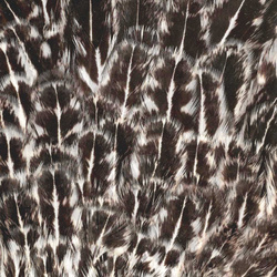 Colgadera moteada de gallina FFGene India