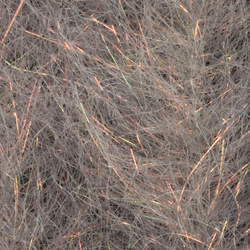 Cepillo H2O Flash Blend Baitfish de 2 pulgadas (flash)