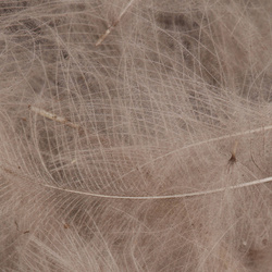 FFGene Plumas CDC Oxyd Jambo Pack - 1 gr