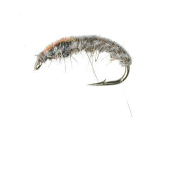 Hidropsique Tan (371)