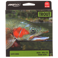 Línea de mosca Airflo Sixth Sense Delta Intermediate