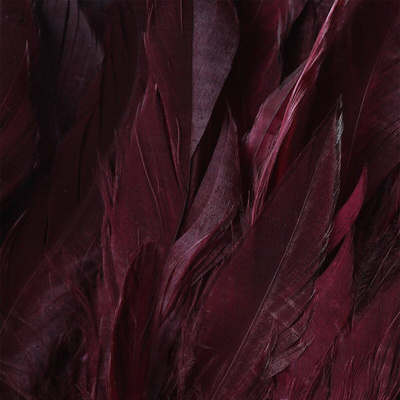 Dark Claret