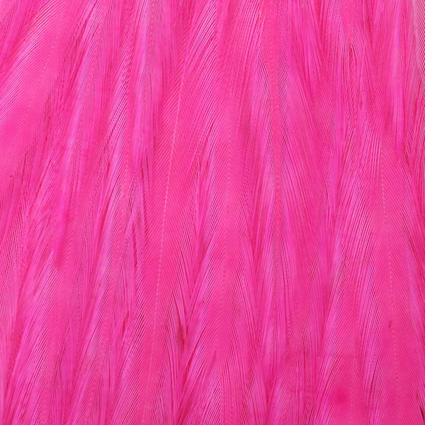 Sillas de montar enteras Ewing