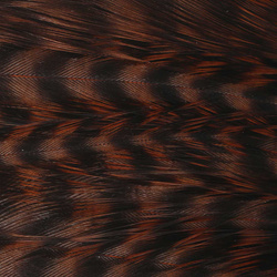 Ewing parche de plumas Deceiver teñidas