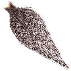Capa de plumas del cuello de gallo Whiting Bronze